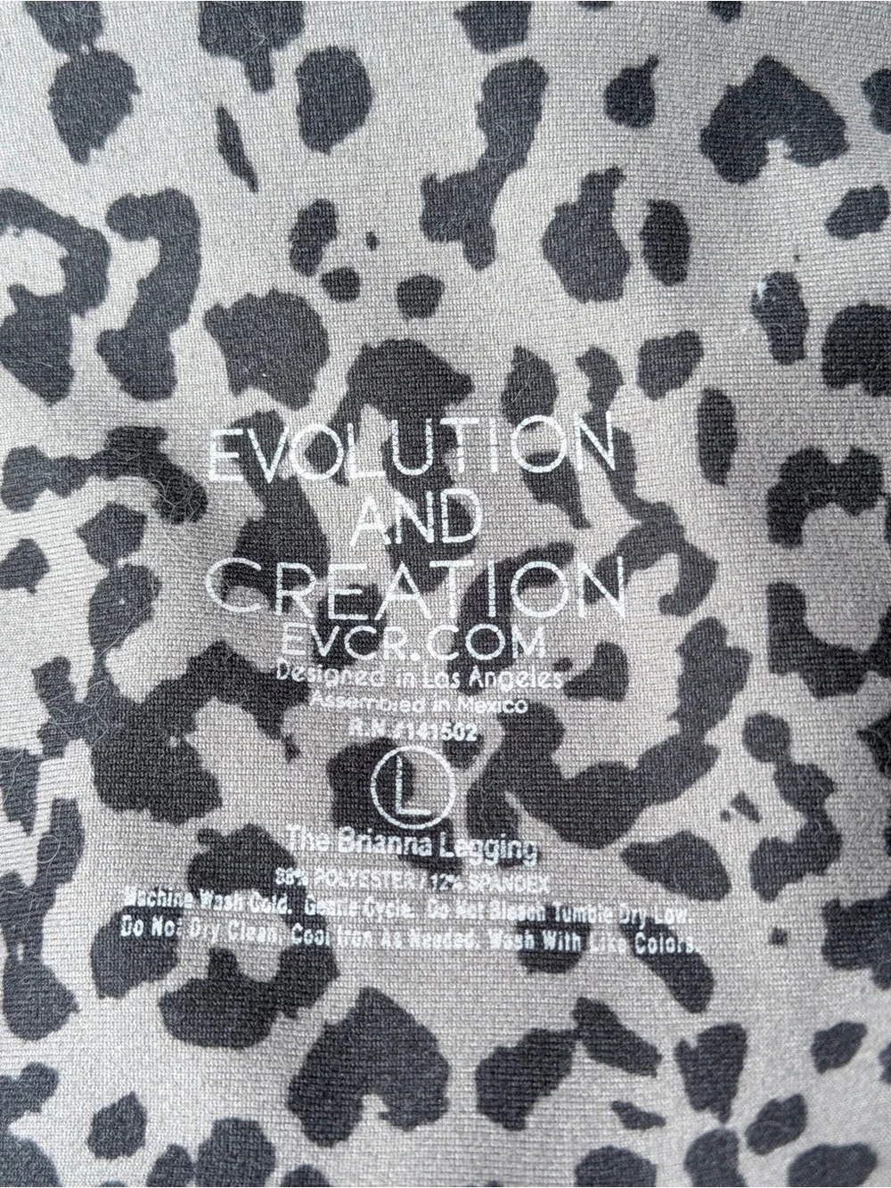EVCR Evolution and Creation 